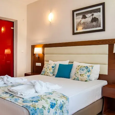 Hotel Potos 3*