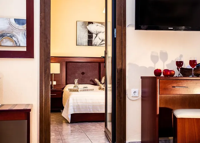 Hotel Hotel Potos Potos